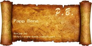 Papp Bene névjegykártya